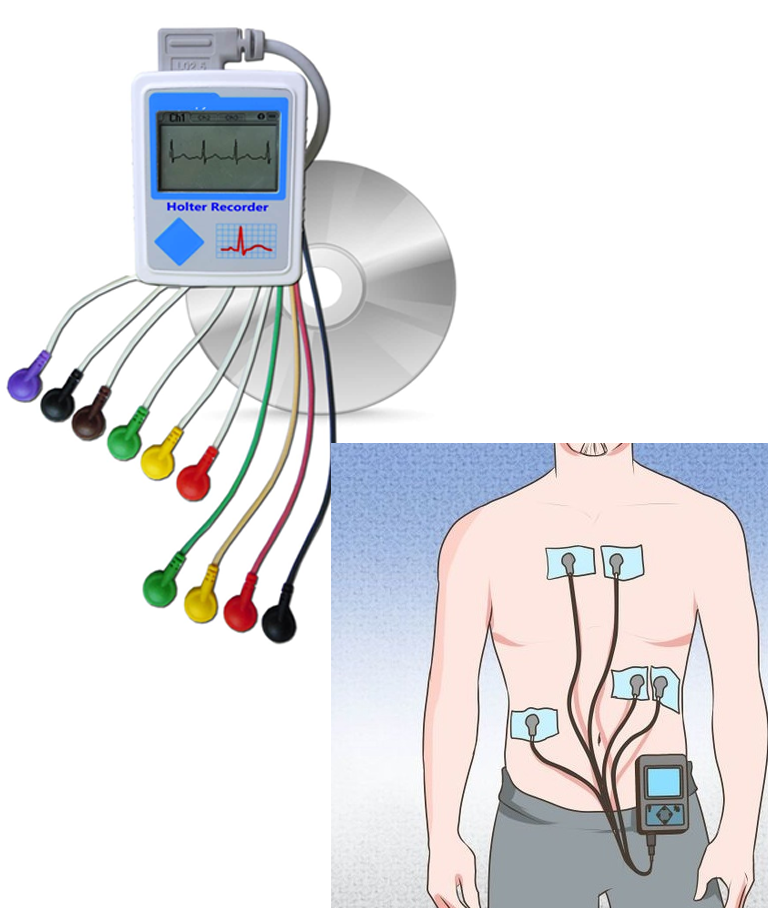 HOLTER HOLTER