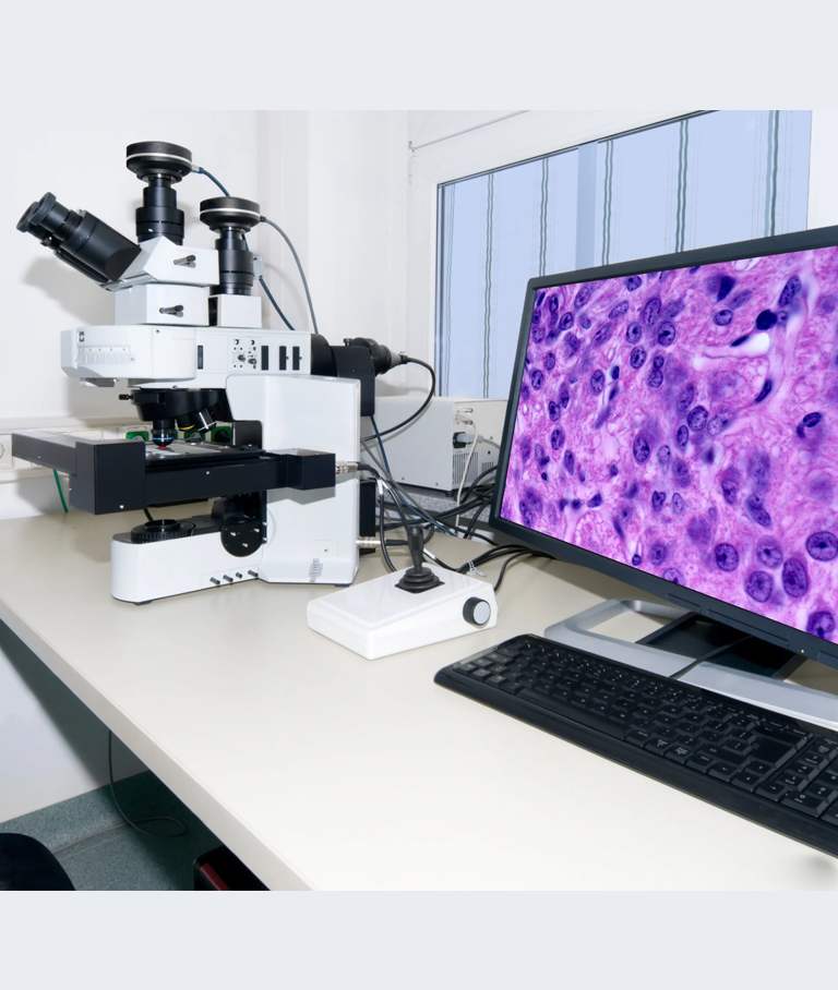 DIGITAL PATHOLOGY DIGITAL PATHOLOGY
